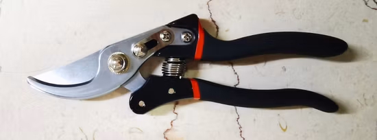 Tesoura de poda profissional de alto carbono para jardim com cabo de PVC para poda